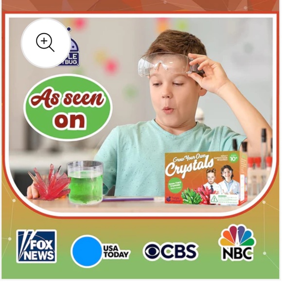 Purple Ladybug Grow Your Own Crystals Red and Green Stem - Picture 3 of 10